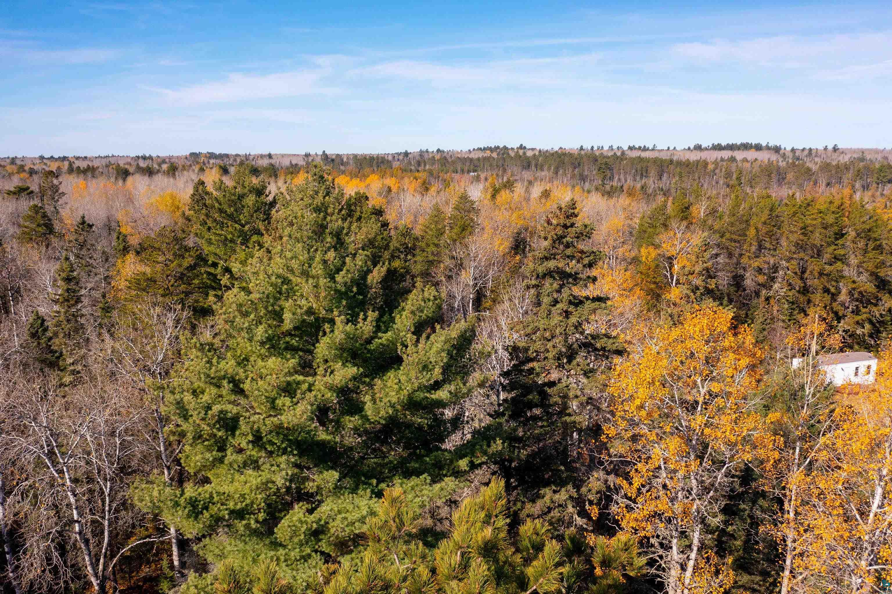 Xxx Camp House Road Brimson, MN 55602 - Photo 29 of 36 Gallery Image 29