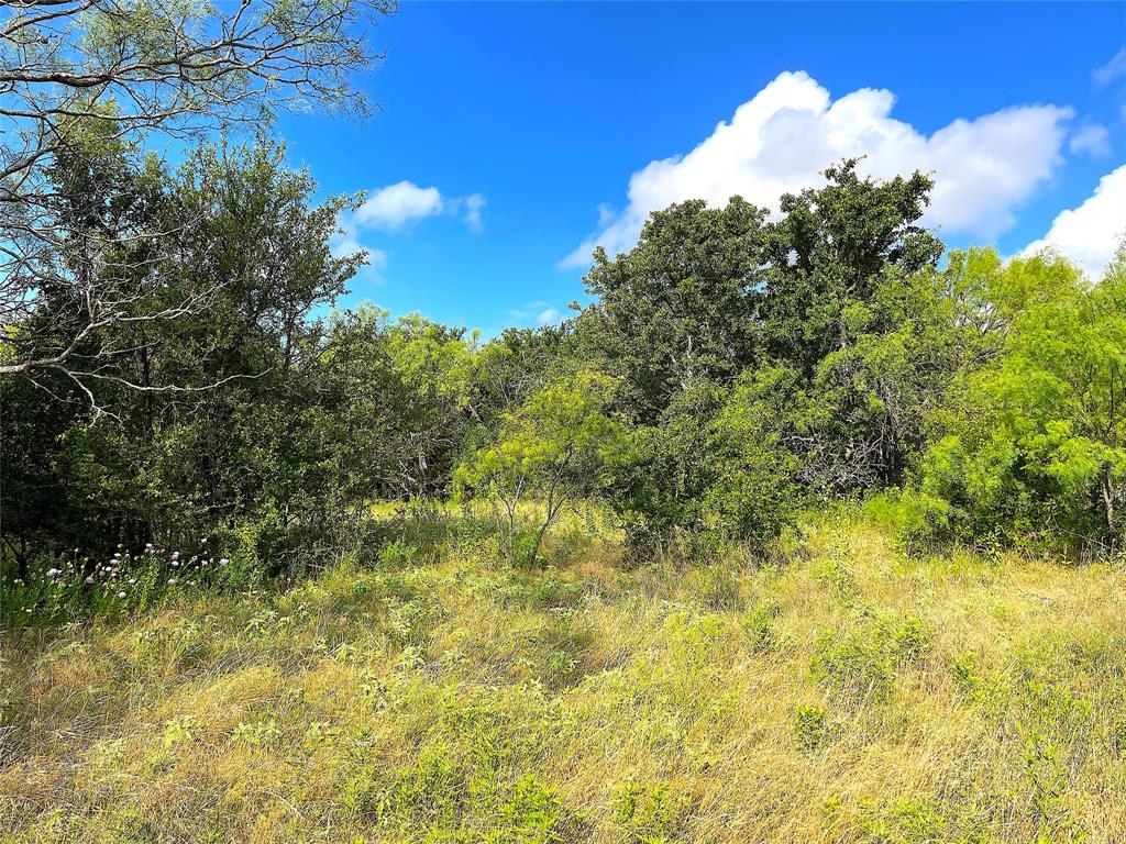 11020 Highway 281 Perrin, TX 76486 - Photo 21 of 22