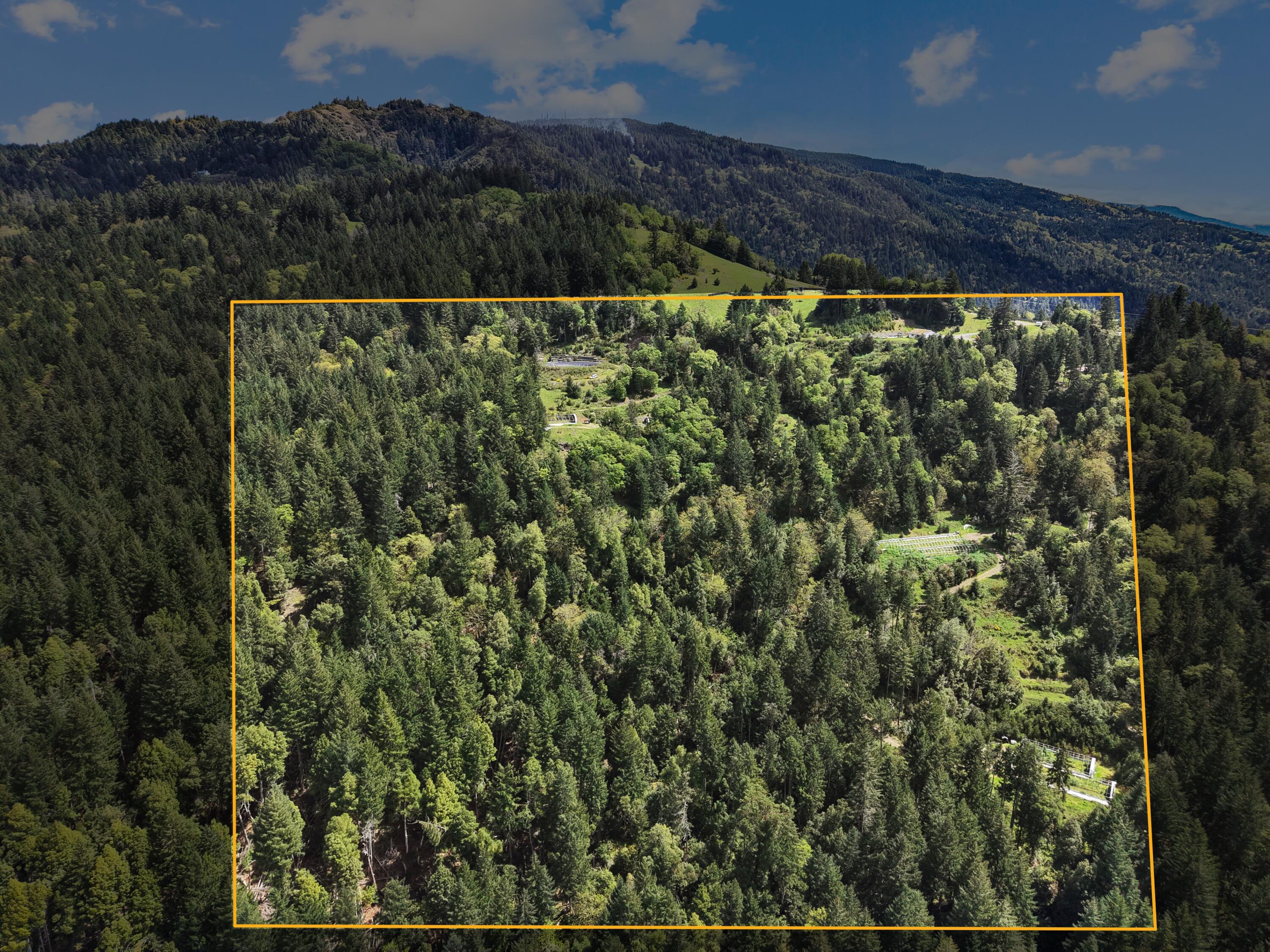 480 Saber Tooth Road Blue Lake, CA 95525 - Photo 35 of 37