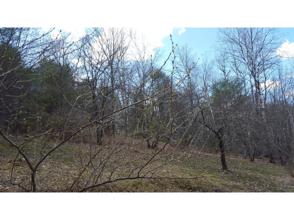 38 Lower Oxbow Road New Hampton, NH 03256 - Photo 2 of 35