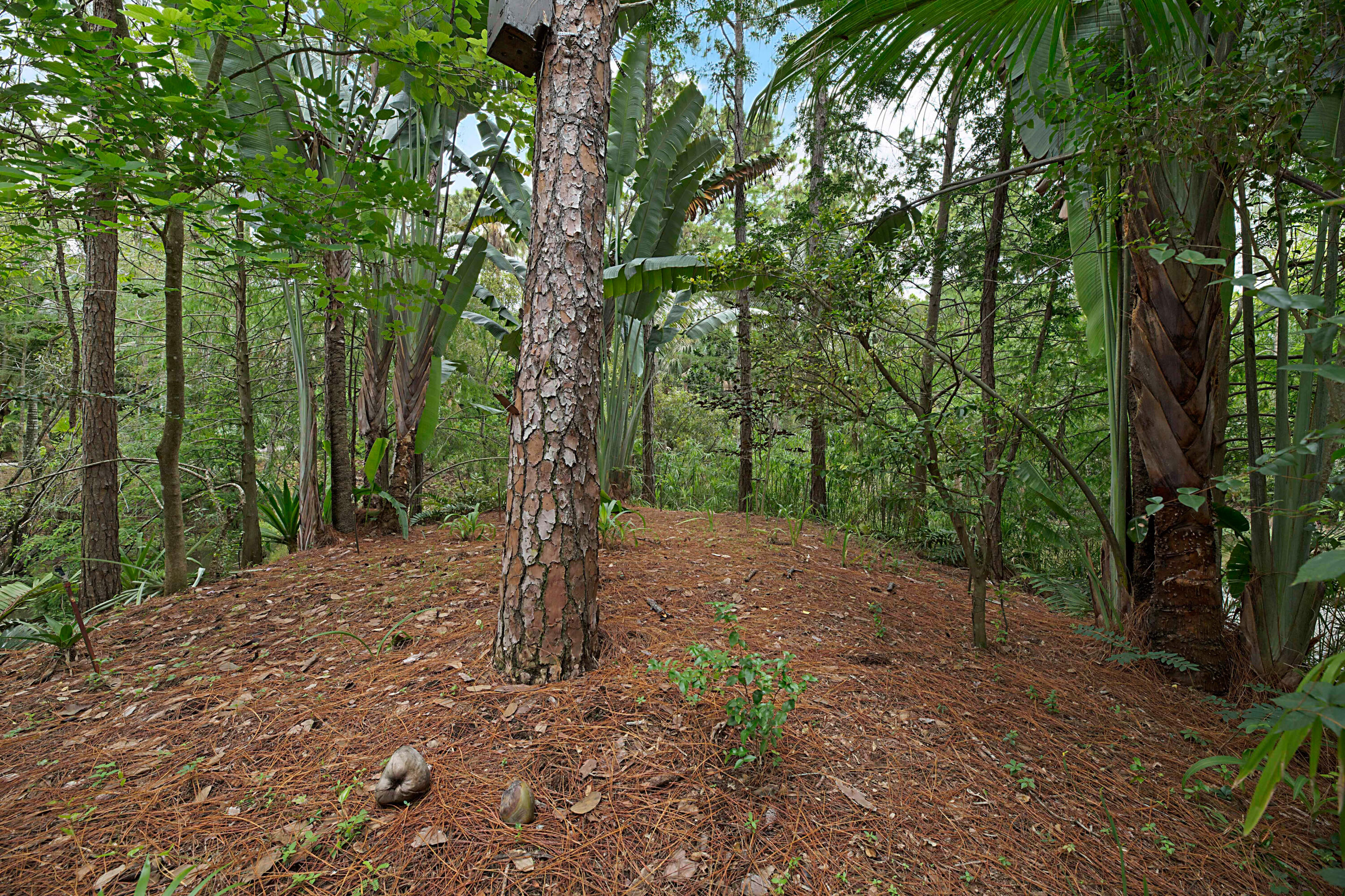 4852 Windmill Road Loxahatchee, FL 33470 - Photo 32 of 36 Private picnic island