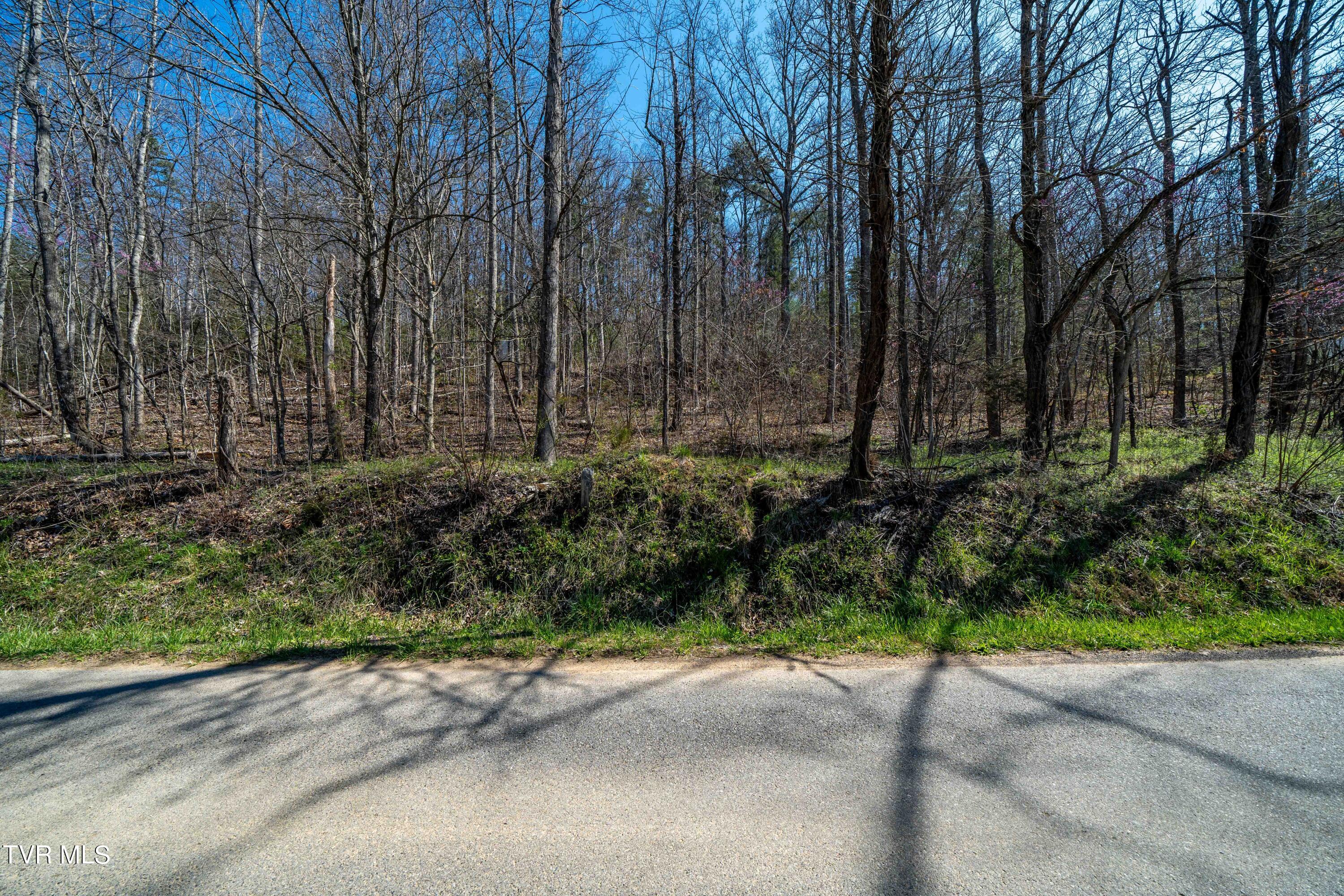 Tbd Middle Creek Road, Unit 18 Afton, TN 37616 - Photo 16 of 18 TBD Clinch River Hwy (24 of 33)