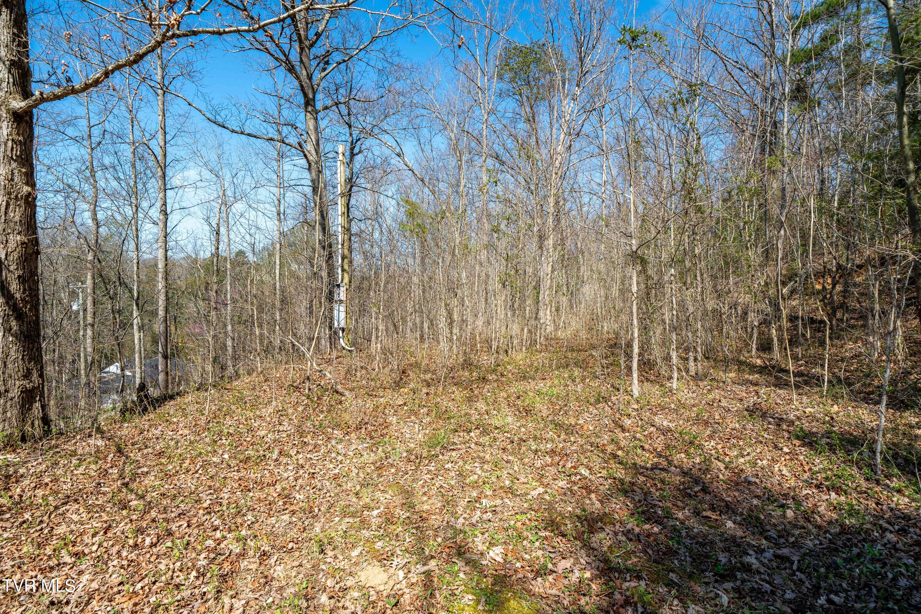 Tbd Middle Creek Road, Unit 18 Afton, TN 37616 - Photo 17 of 18 Middle Creek
