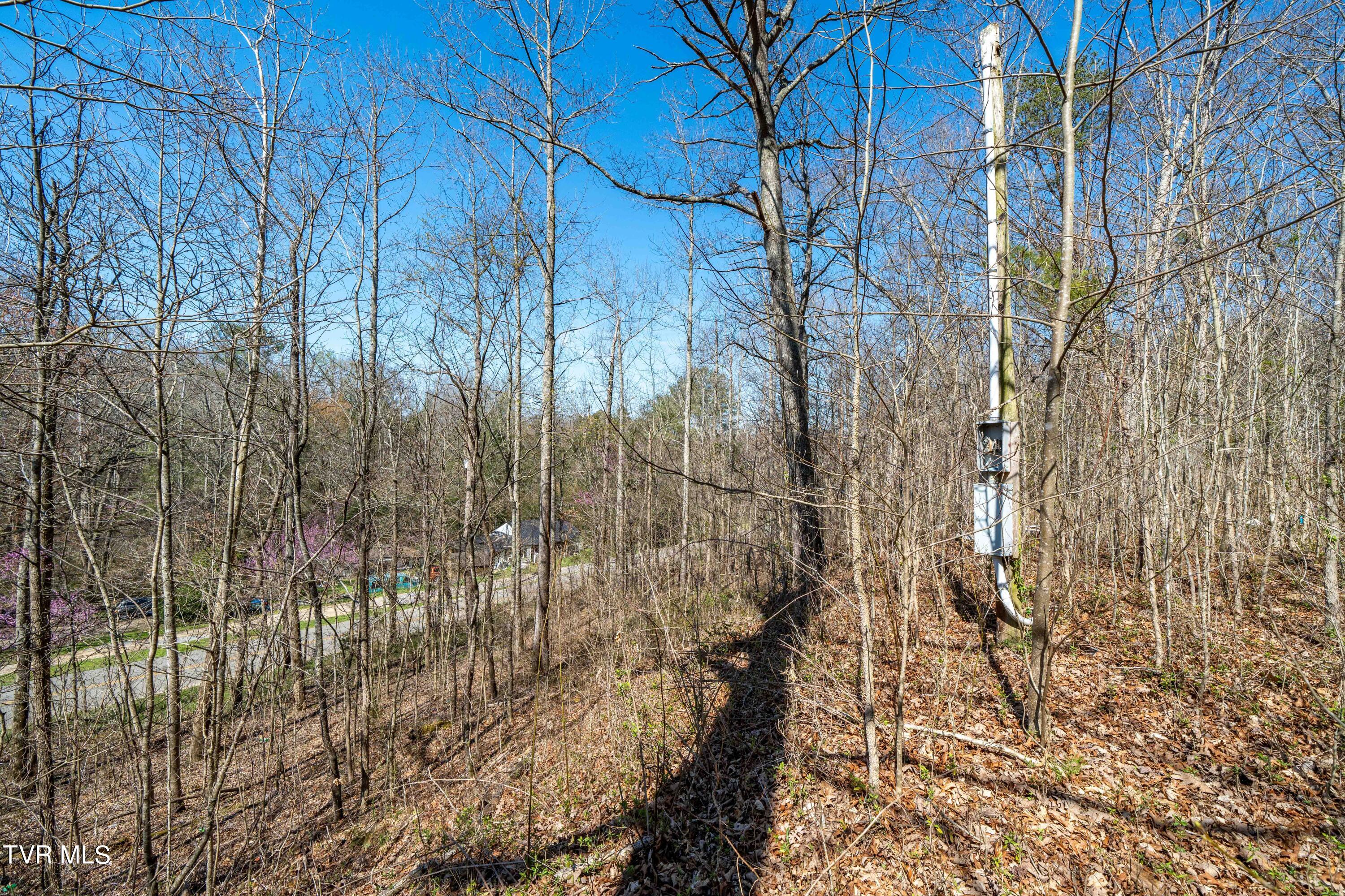 Tbd Middle Creek Road, Unit 18 Afton, TN 37616 - Photo 18 of 18 Middle Creek