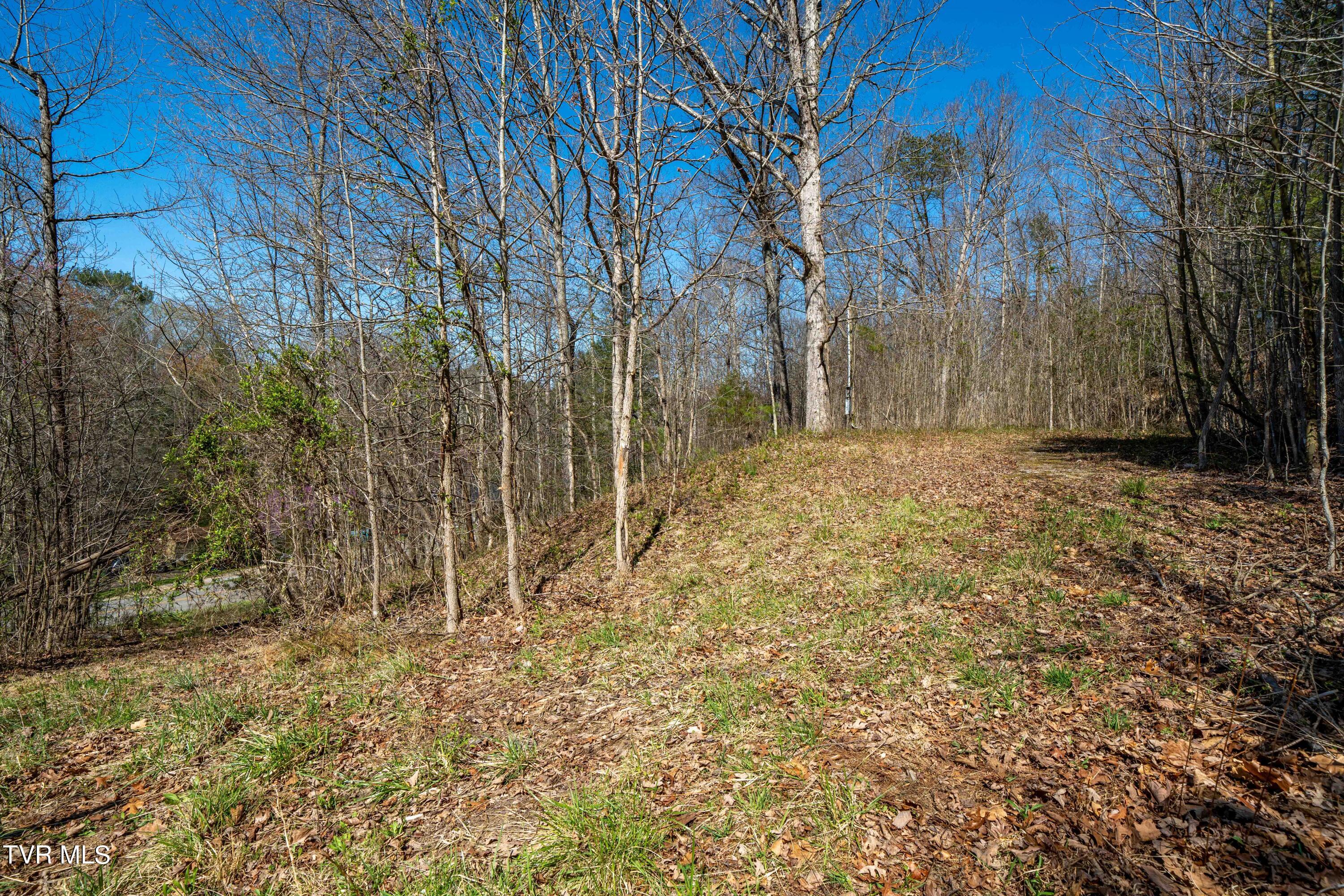 Tbd Middle Creek Road, Unit 18 Afton, TN 37616 - Photo 4 of 18 TBD Clinch River Hwy (33 of 33)