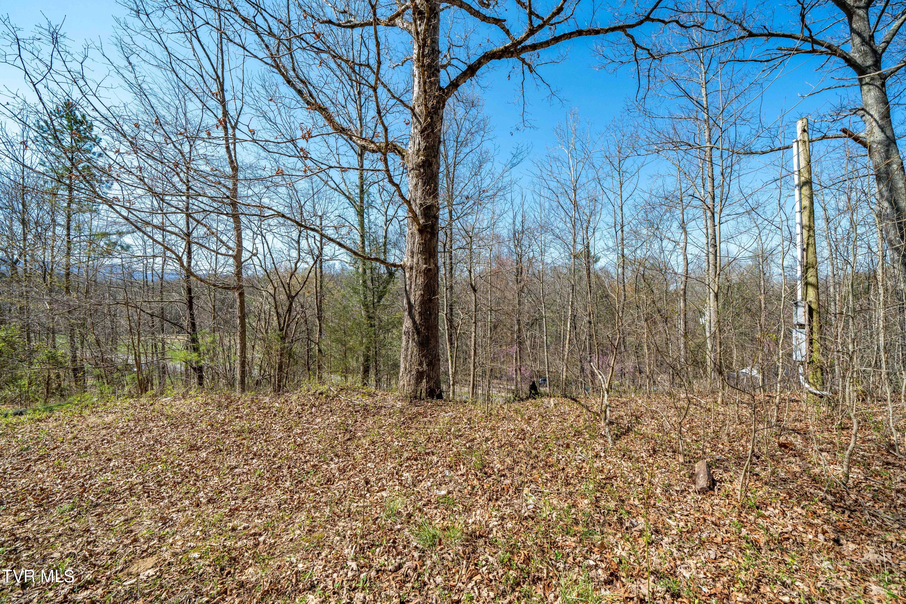 Tbd Middle Creek Road, Unit 18 Afton, TN 37616 - Photo 5 of 18 Middle Creek