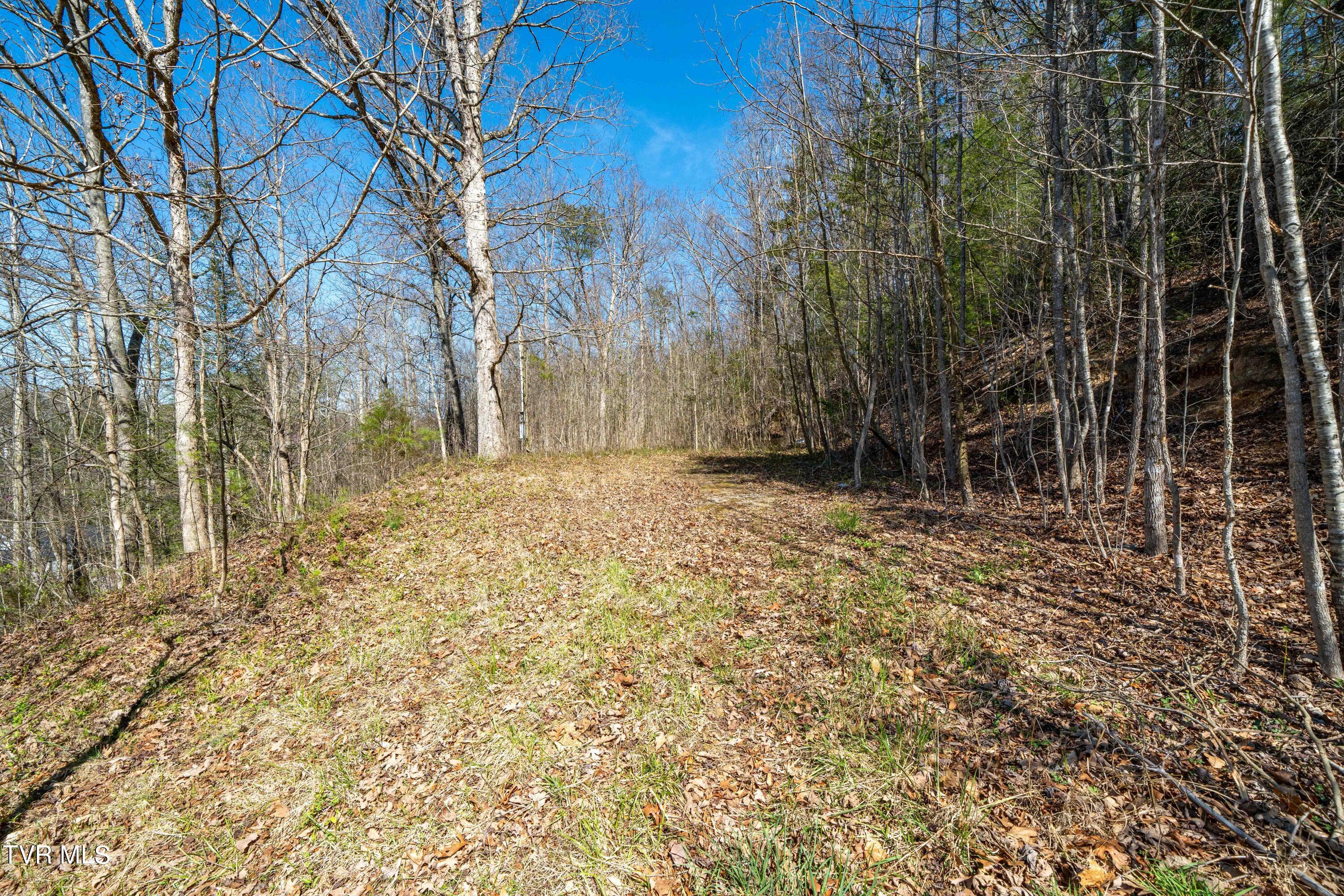 Tbd Middle Creek Road, Unit 18 Afton, TN 37616 - Photo 6 of 18 Middle Creek