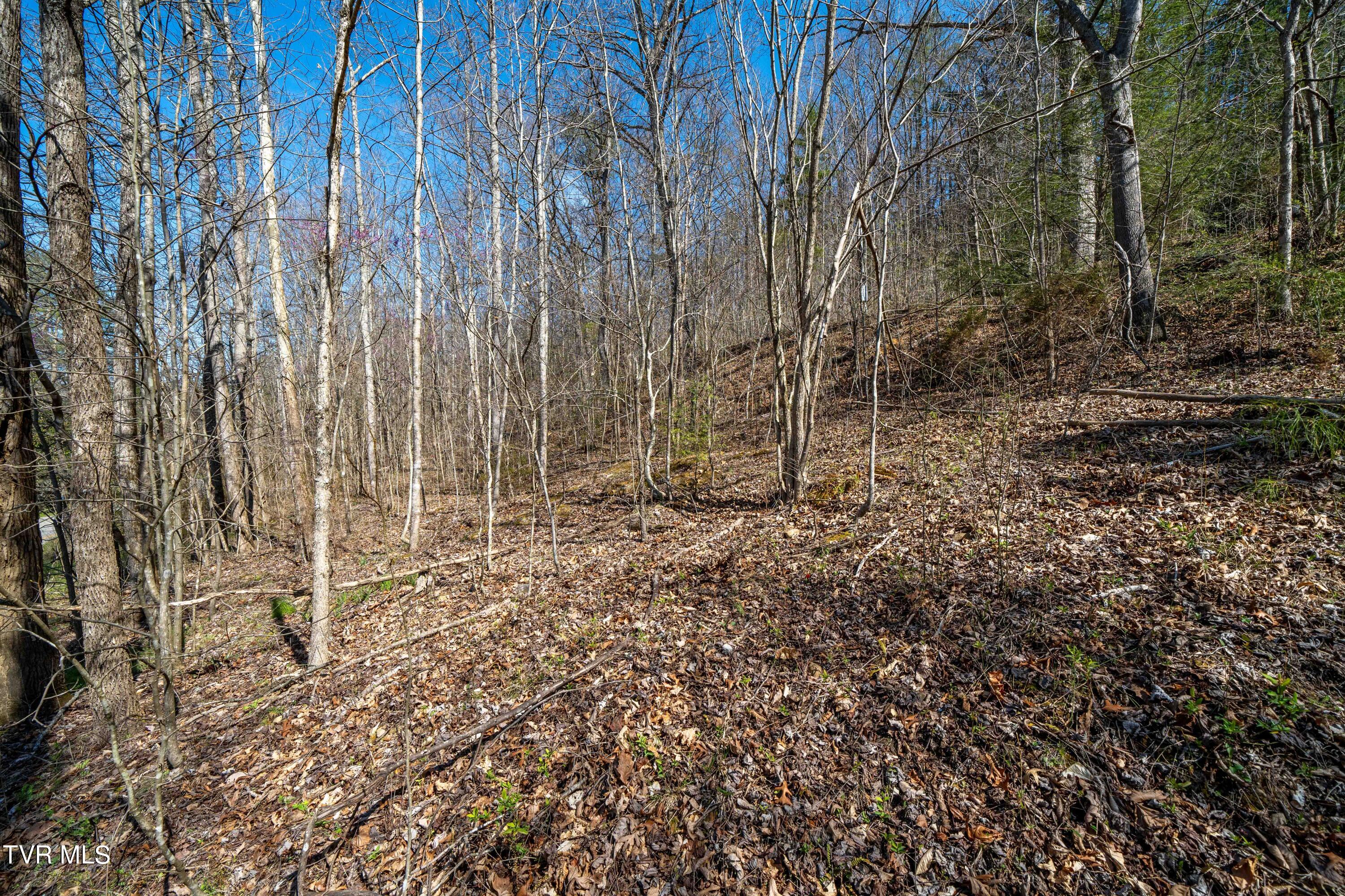 Tbd Middle Creek Road, Unit 18 Afton, TN 37616 - Photo 7 of 18 Middle Creek