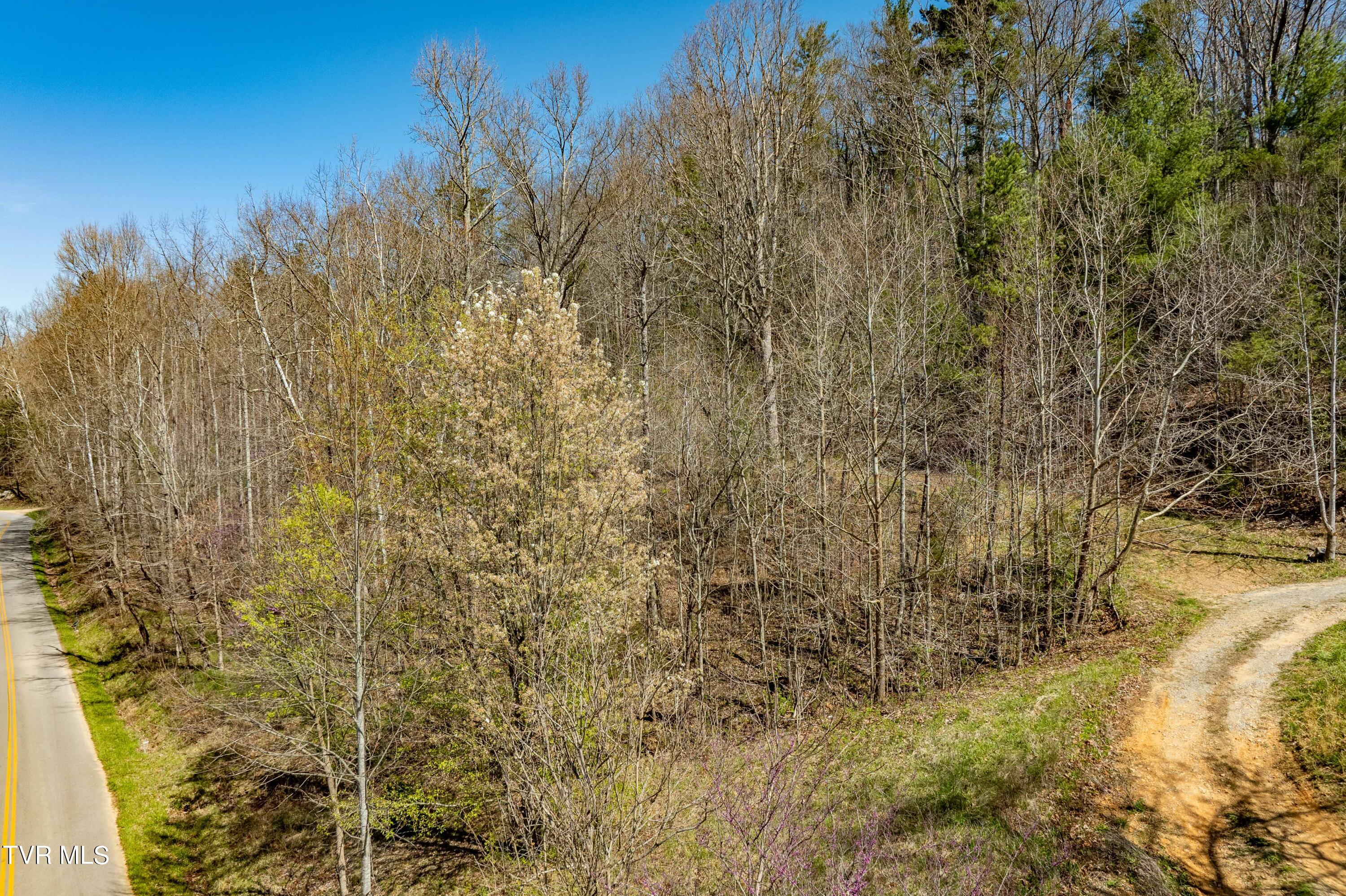Tbd Middle Creek Road, Unit 18 Afton, TN 37616 - Photo 8 of 18 Middle Creek