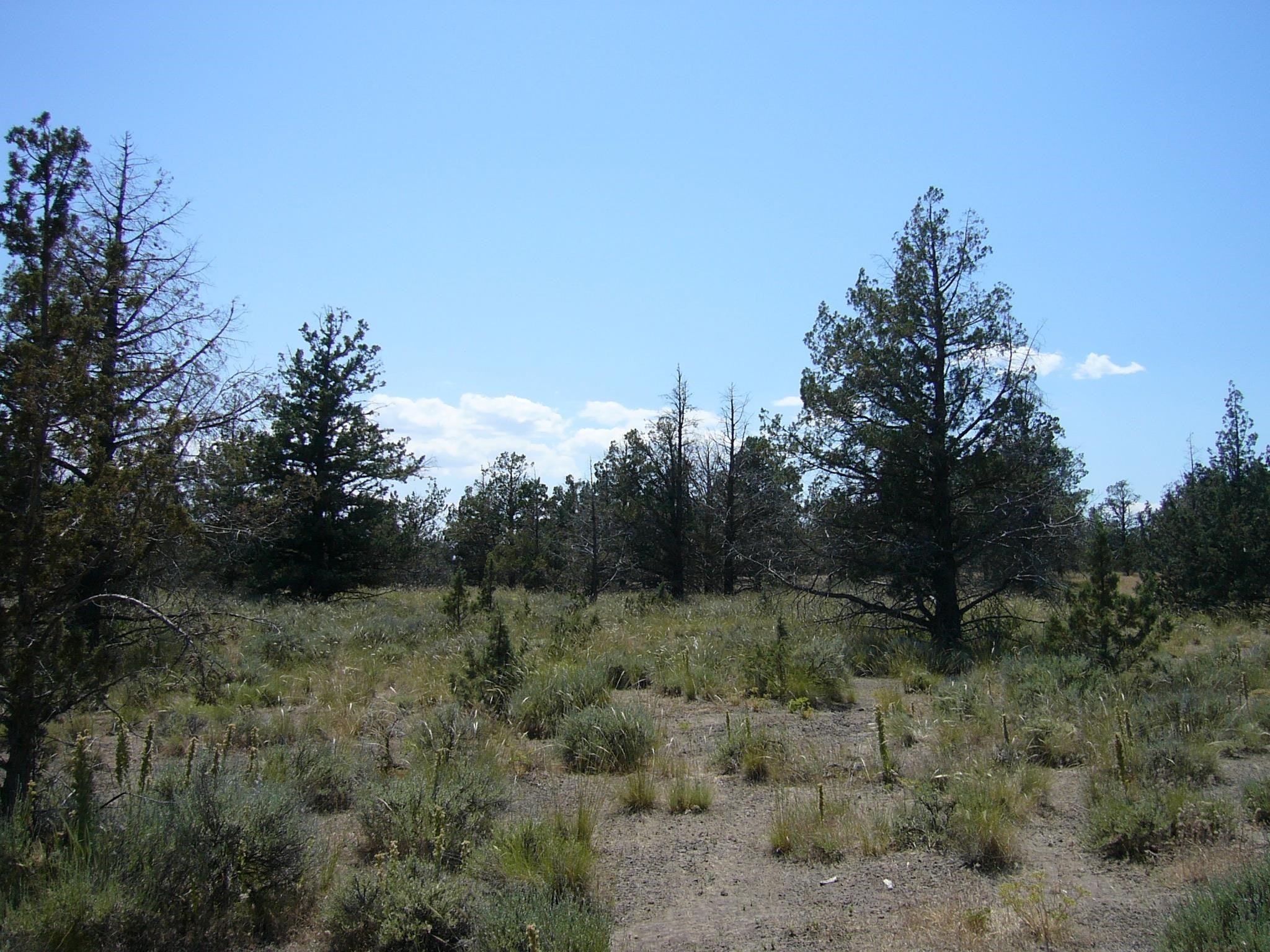 10.1 Yuba Meba Rancho Road Montague, CA 96064 - Photo 20 of 23 Gallery Image 20