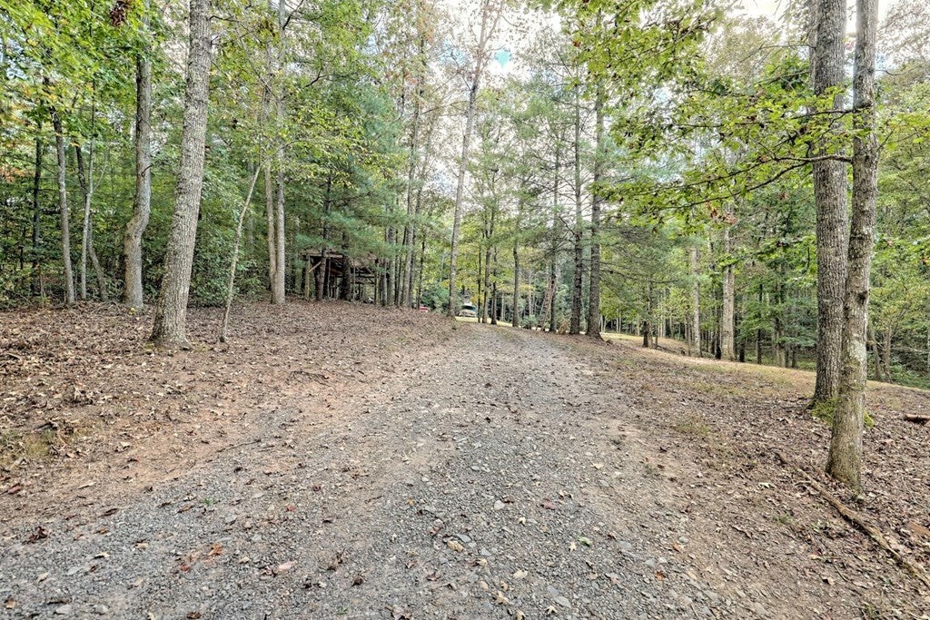 55 Rolling Oaks Road Murphy, NC 28906 - Photo 11 of 49 Gallery Image 11