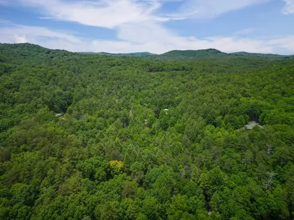 $339,000 | 14 Finch Lane, Blue Ridge, GA 30513