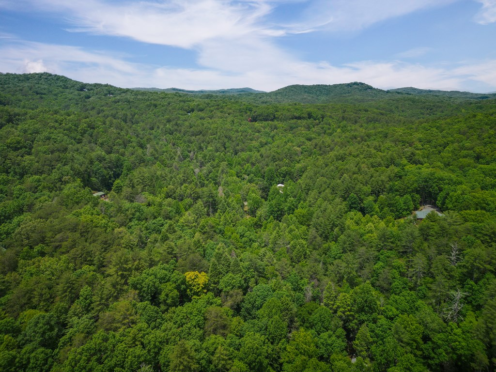 14 Finch Lane Blue Ridge, GA 30513 - Photo 22 of 24