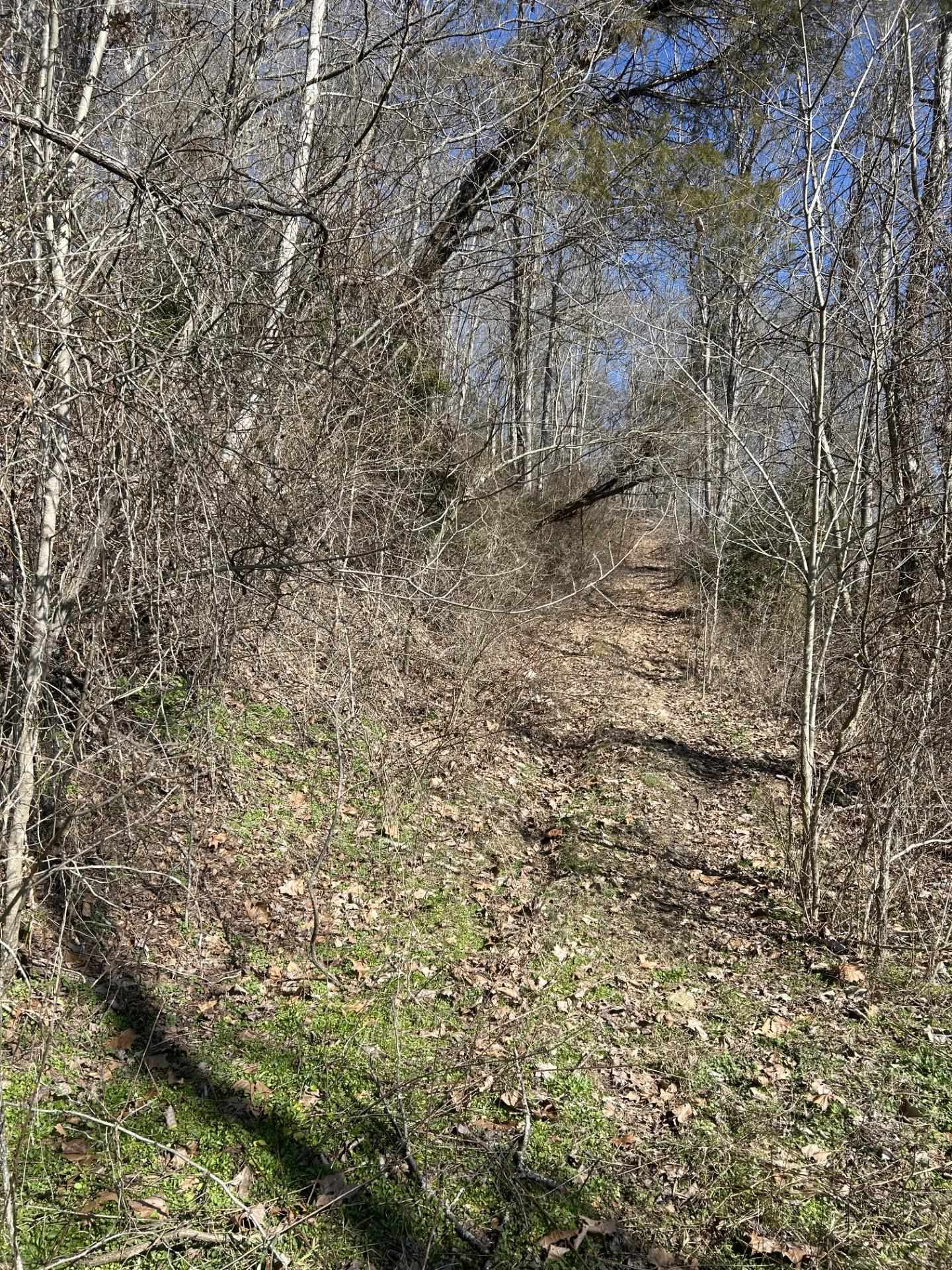 0 Rt 152 Wayne, WV 25570 - Photo 12 of 12 Gallery Image 12