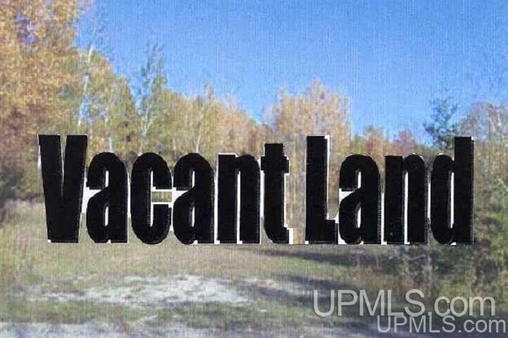 Tbd Ko Swanson Road, Unit PARCEL 7 Iron Mountain, MI 49801 - Photo 1 of 1