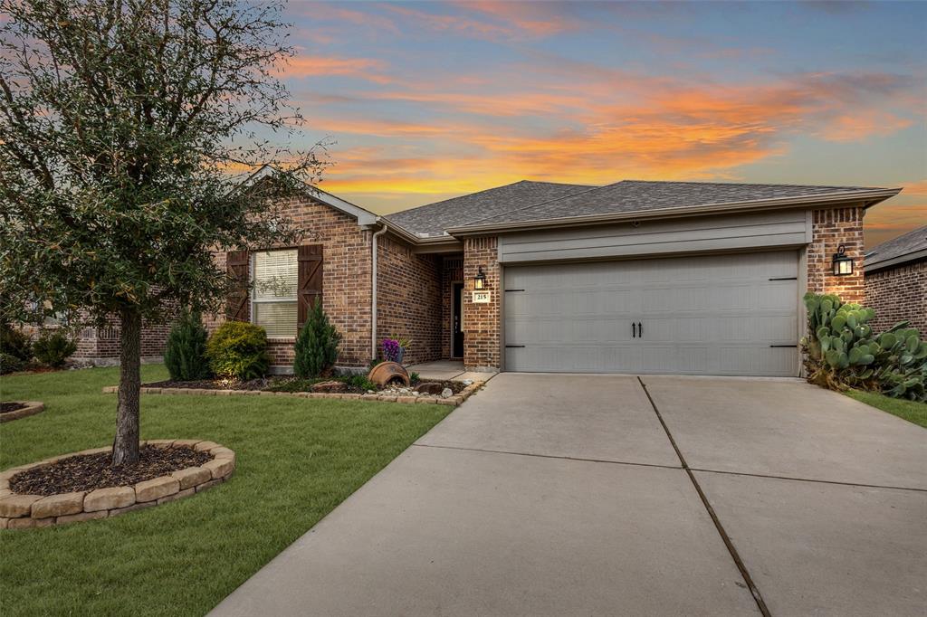 215 Ivan Court Anna, TX 75409 - Photo 24 of 28