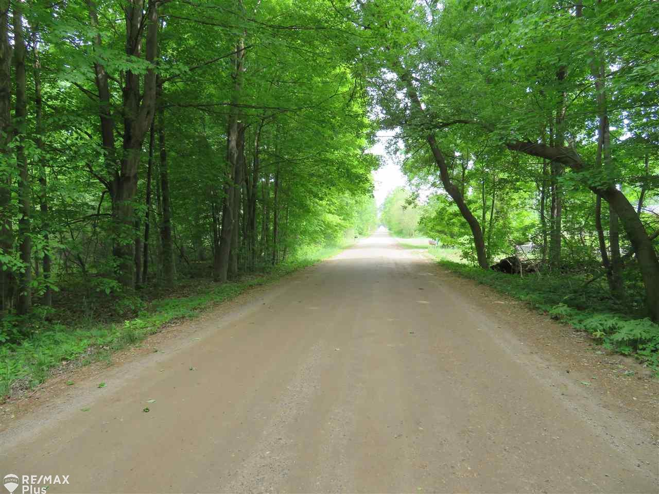 0 South Force Road Attica, MI 48412 - Photo 3 of 4