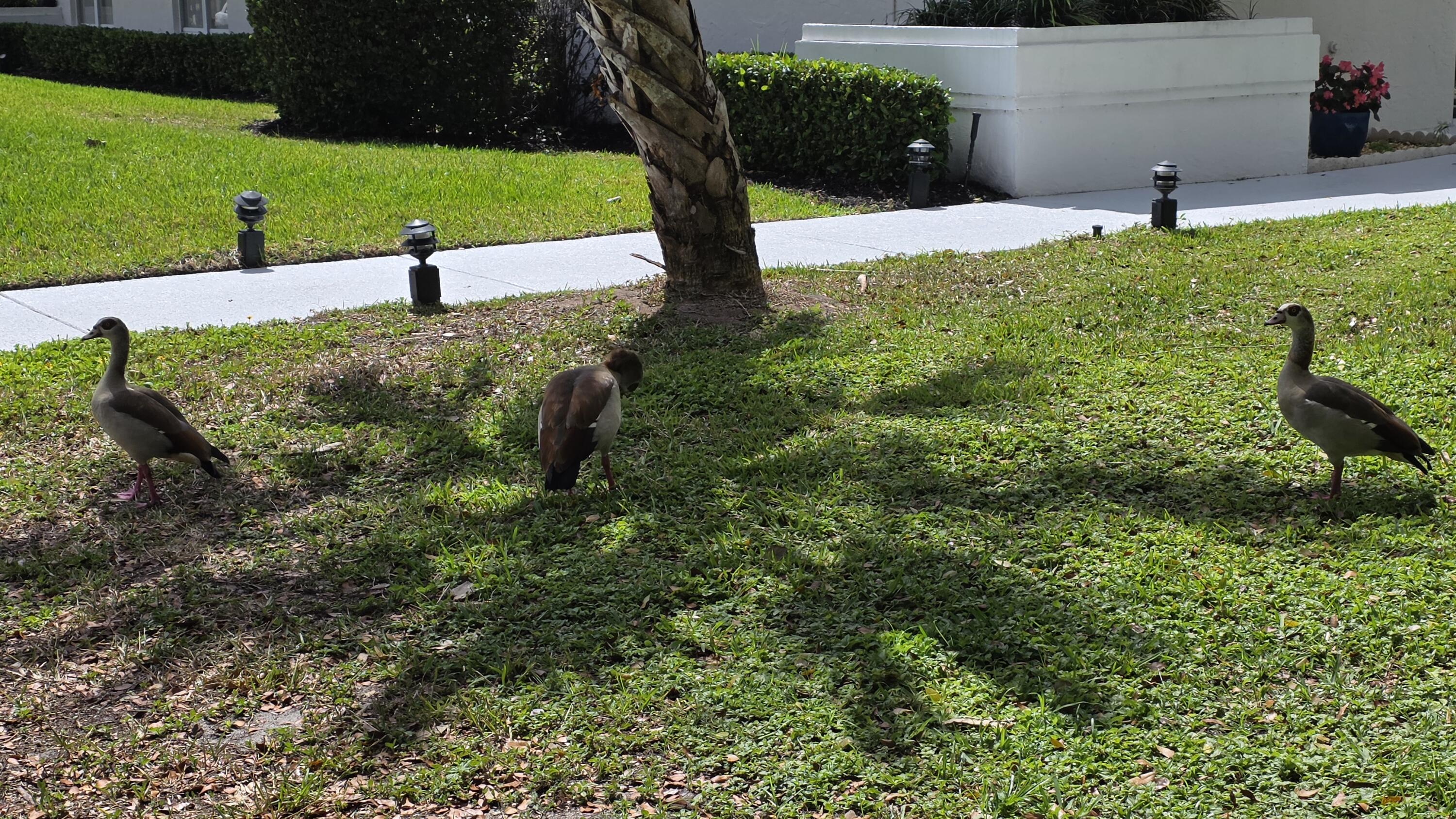 7769 Mansfield Hollow Road Delray Beach, FL 33446 - Photo 25 of 27