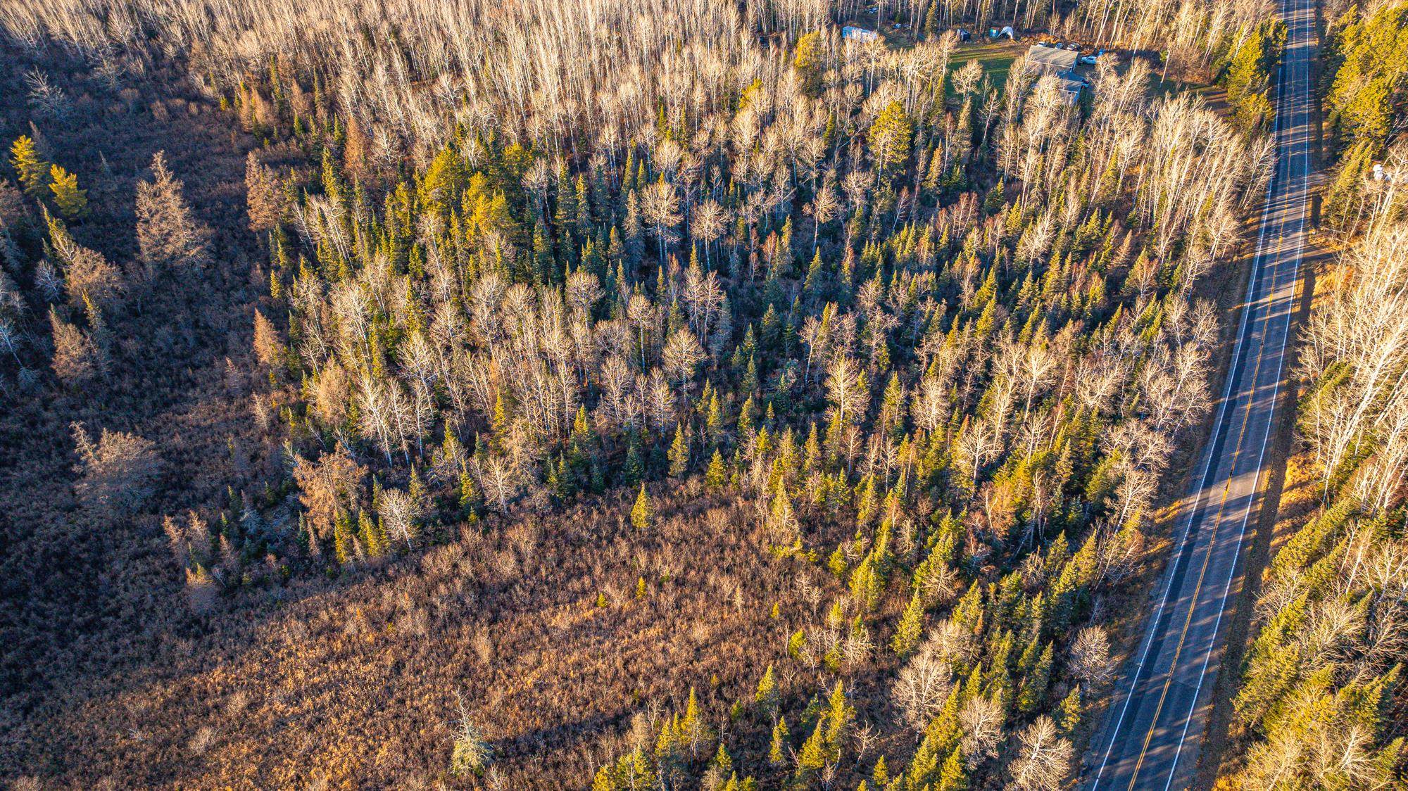 8359 Highway 135 Embarrass, MN 55732 - Photo 50 of 61