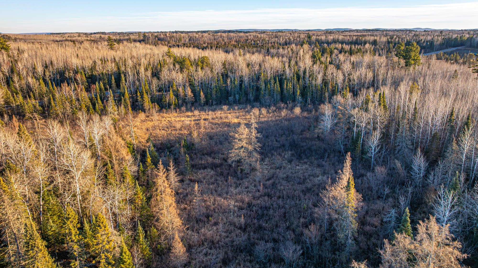 8359 Highway 135 Embarrass, MN 55732 - Photo 54 of 61