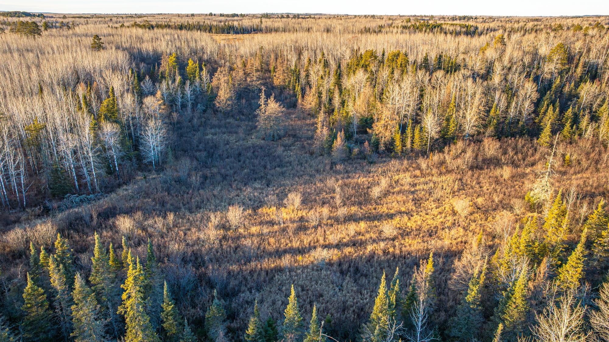 8359 Highway 135 Embarrass, MN 55732 - Photo 56 of 61