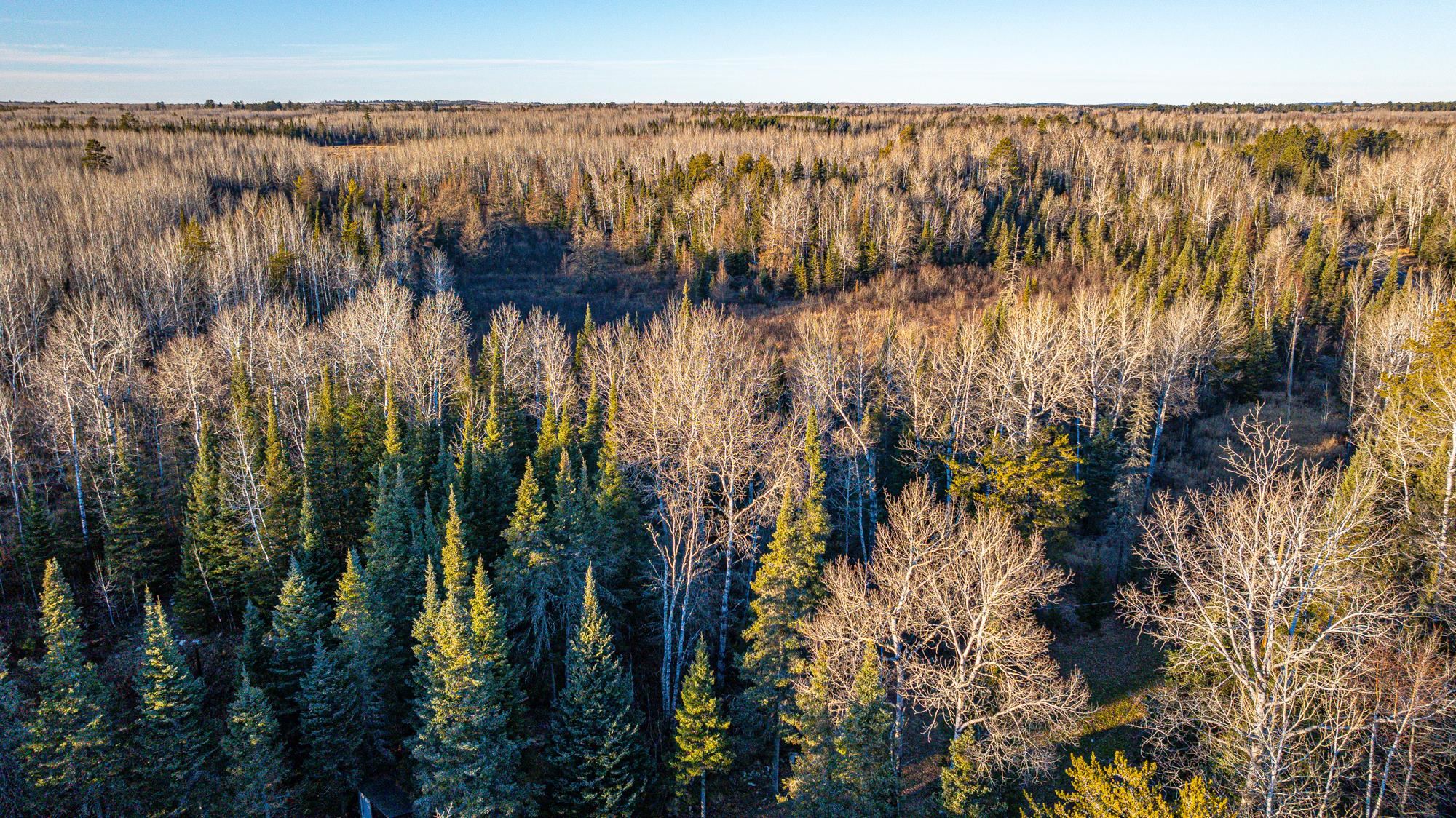 8359 Highway 135 Embarrass, MN 55732 - Photo 61 of 61