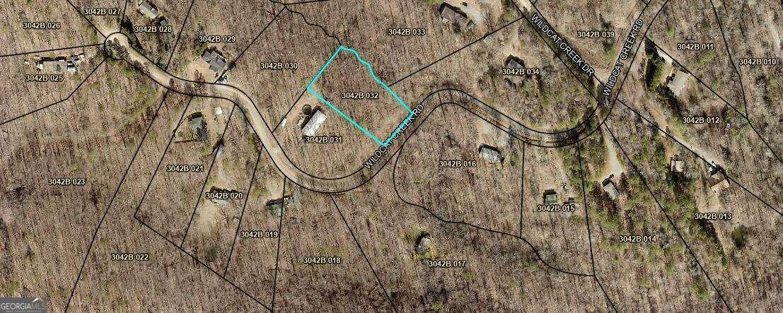 0 Wildcat Creek Road Ellijay, GA 30540 - Photo 1 of 1 Gallery Image 1