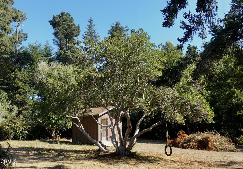 31421 State Highway 20 Fort Bragg, CA 95437 - Photo 23 of 28 a view of a wooden house with a tree