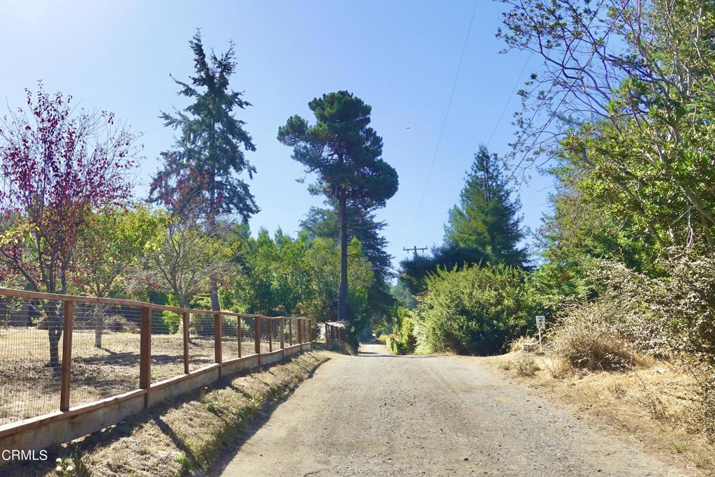 31421 State Highway 20 Fort Bragg, CA 95437 - Photo 28 of 28 a view of a backyard of the house