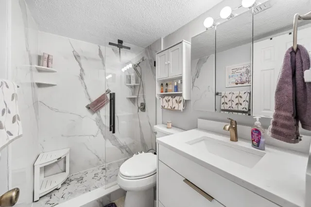 a bathroom with a sink toilet vanity and shower
