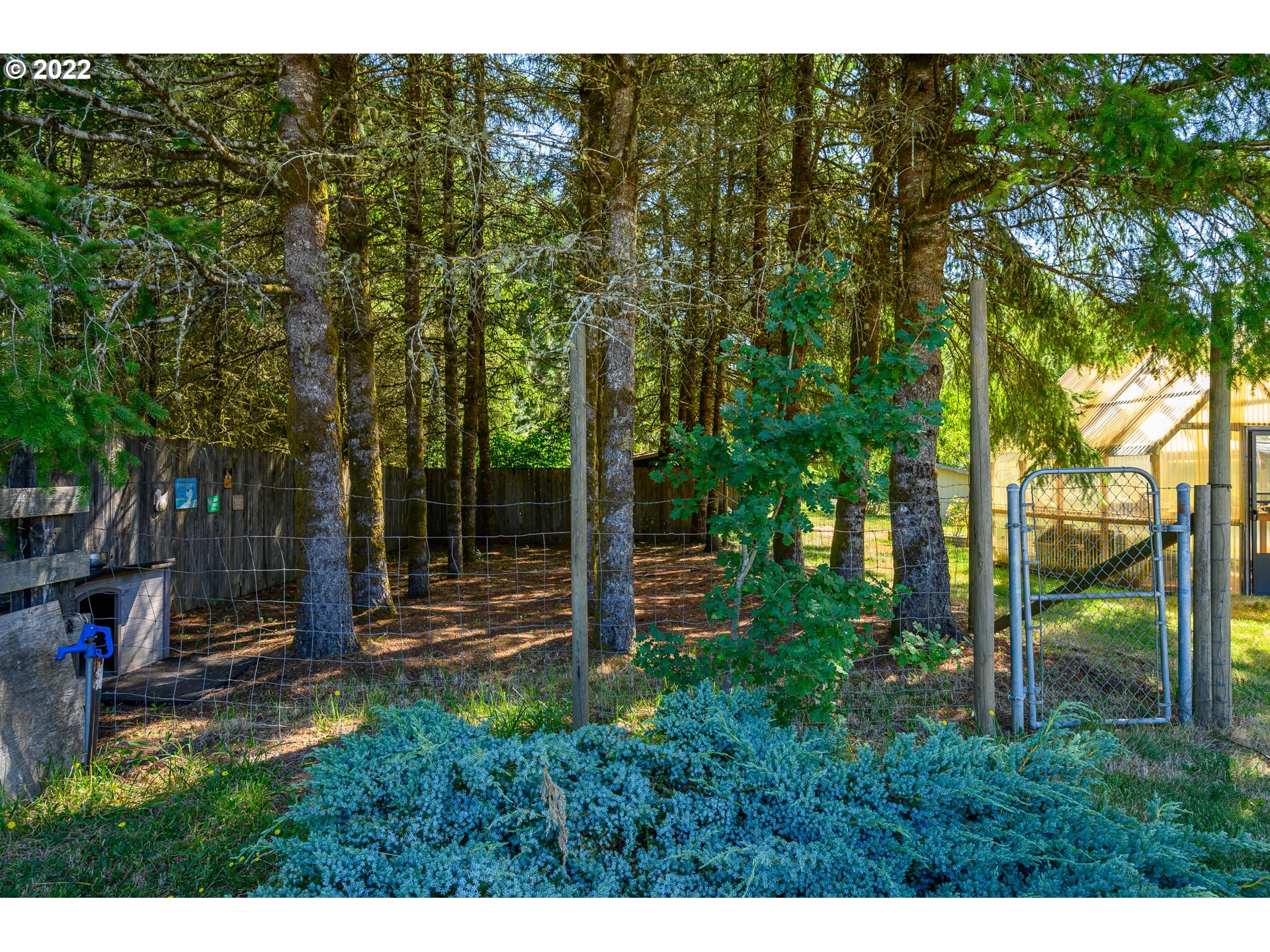 45020 Southwest Hebo Road Grand Ronde, OR 97347 - Photo 29 of 32 Dog Run
