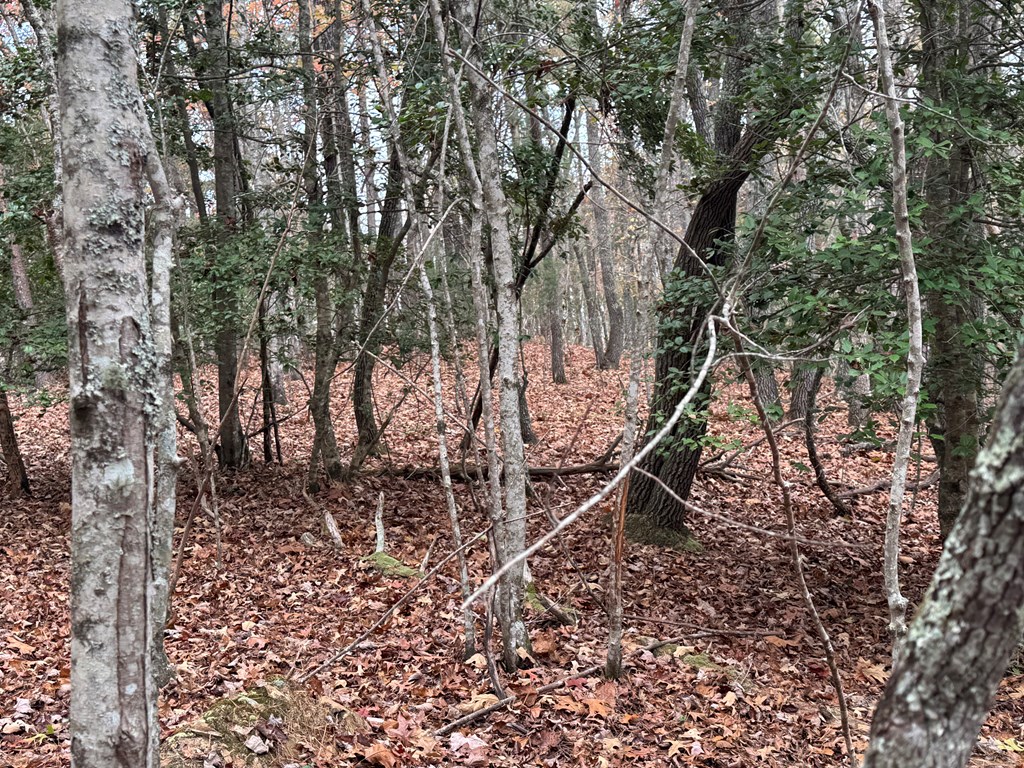 9 Paradise Park Road Murphy, NC 28906 - Photo 10 of 17 Gallery Image 10