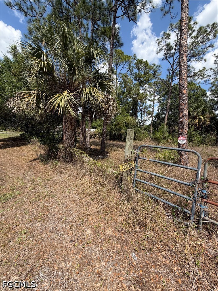 8261 Scarecrow Road North Fort Myers, FL 33917 - Photo 9 of 10