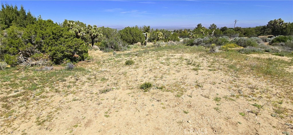 0 Sunnyslope Road Pinon Hills, CA 92372 - Photo 12 of 29