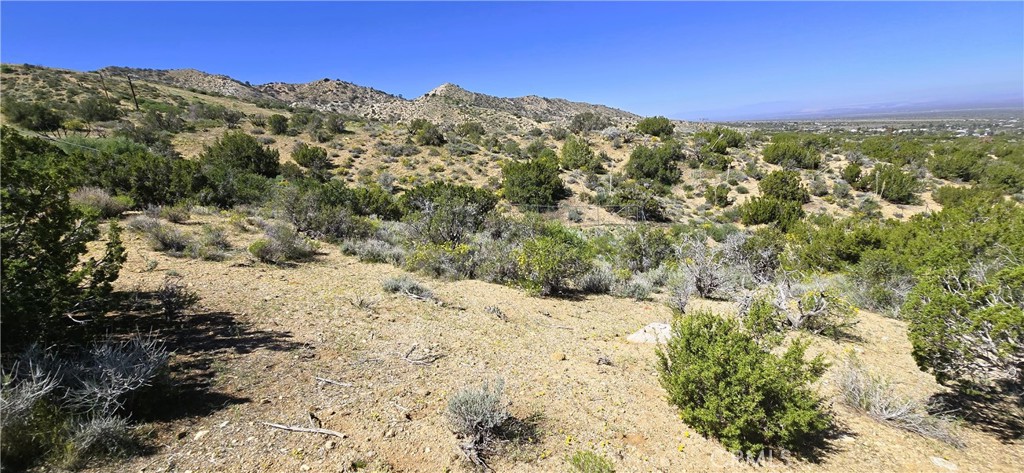 0 Sunnyslope Road Pinon Hills, CA 92372 - Photo 13 of 29