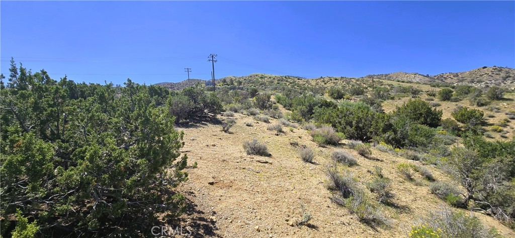 0 Sunnyslope Road Pinon Hills, CA 92372 - Photo 15 of 29