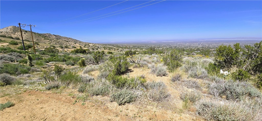 0 Sunnyslope Road Pinon Hills, CA 92372 - Photo 26 of 29