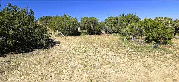 $120,000 | 0 Sunnyslope Road, Pinon Hills, CA 92372