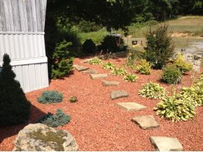 4456 Purchase Ridge Road Duffield, VA 24244 - Photo 13 of 13 Landscaping