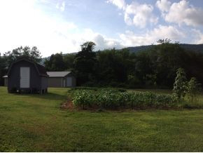 4456 Purchase Ridge Road Duffield, VA 24244 - Photo 10 of 13 Garden Area Storage Building