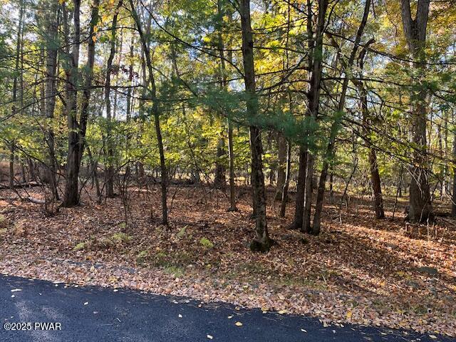 Lot 332 Racoon Road Dingmans Ferry, PA 18328 - Photo 6 of 9