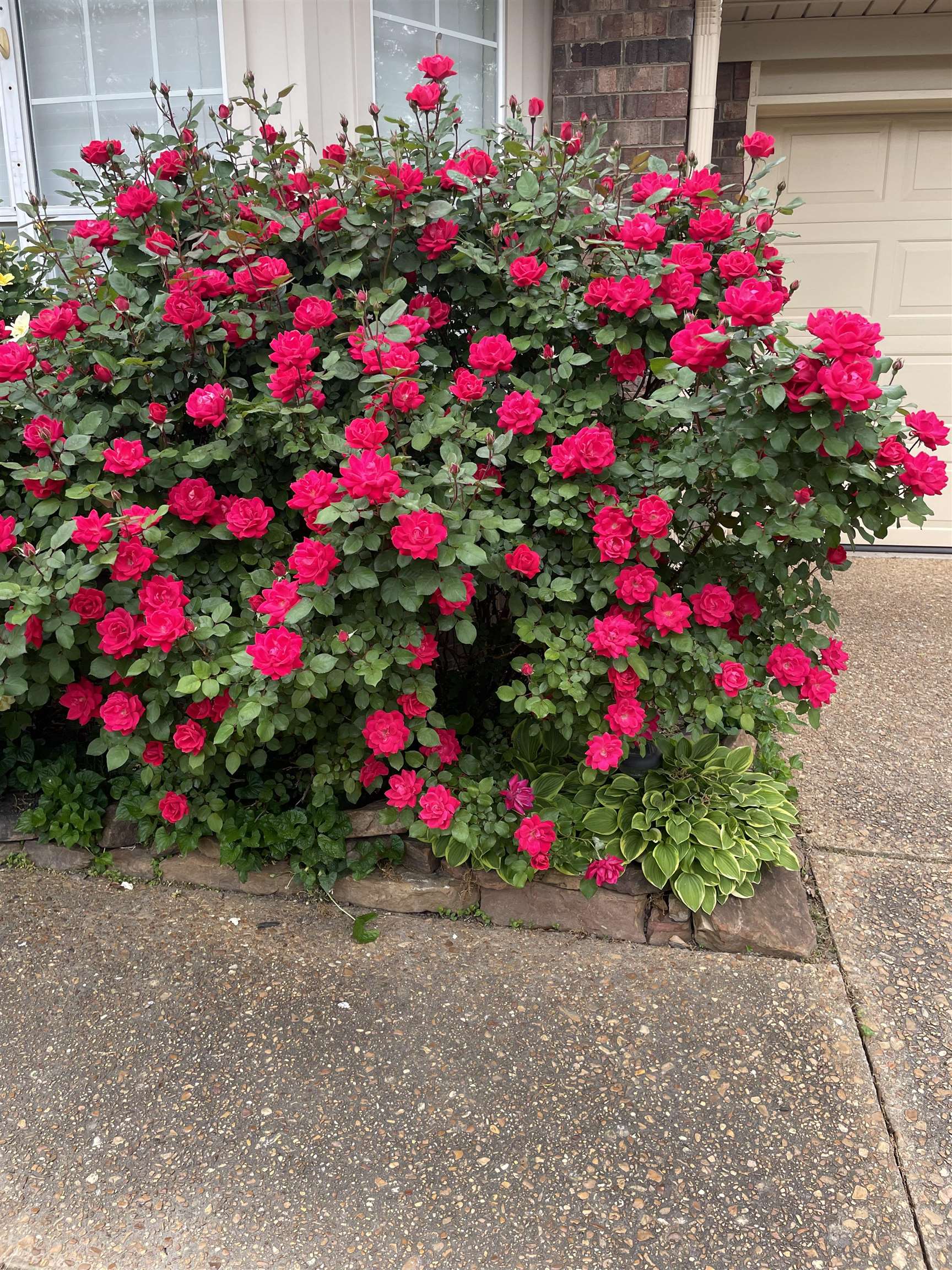 486 Harts Way Drive Collierville, TN 38017 - Photo 23 of 39