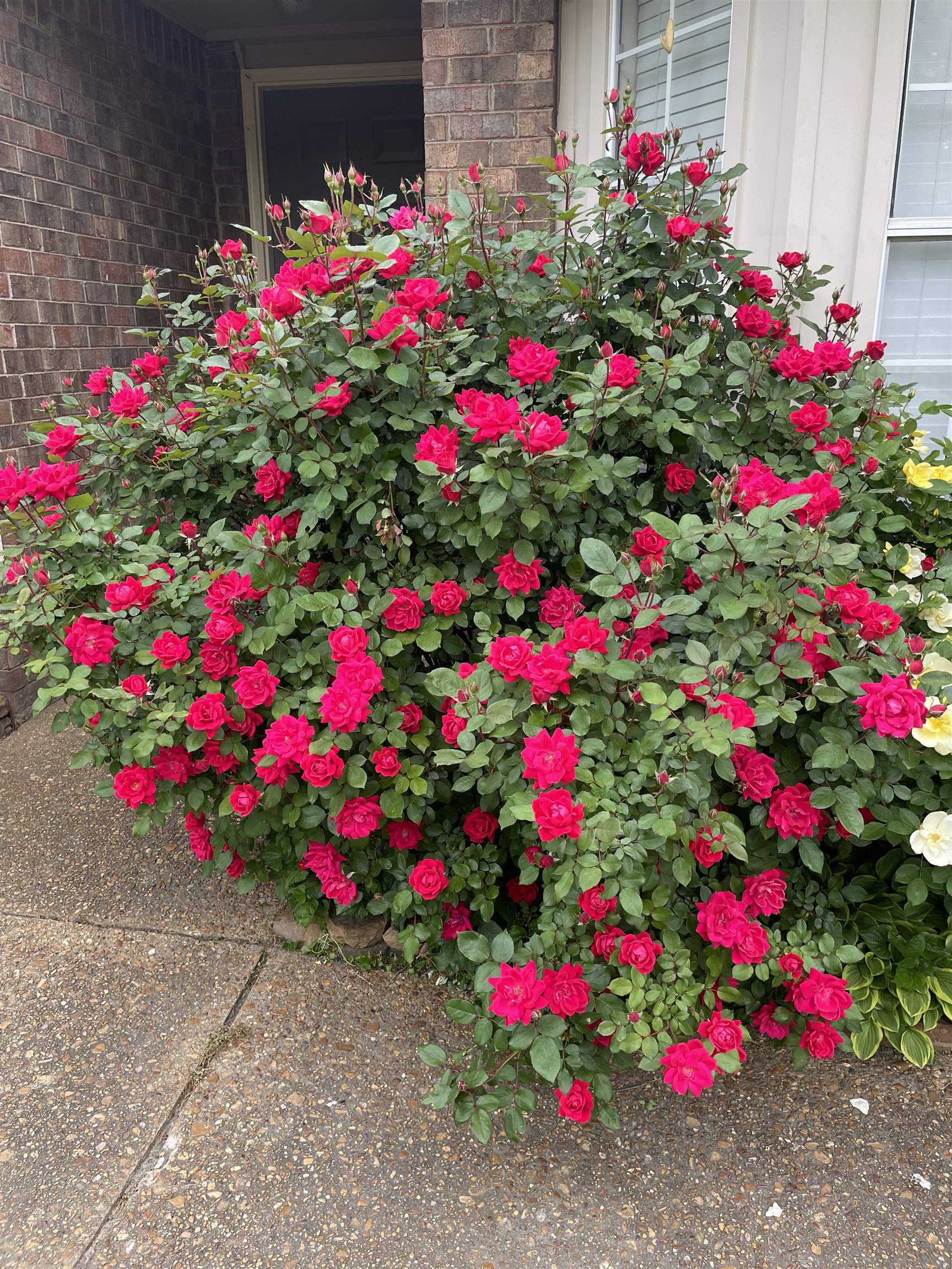 486 Harts Way Drive Collierville, TN 38017 - Photo 25 of 39