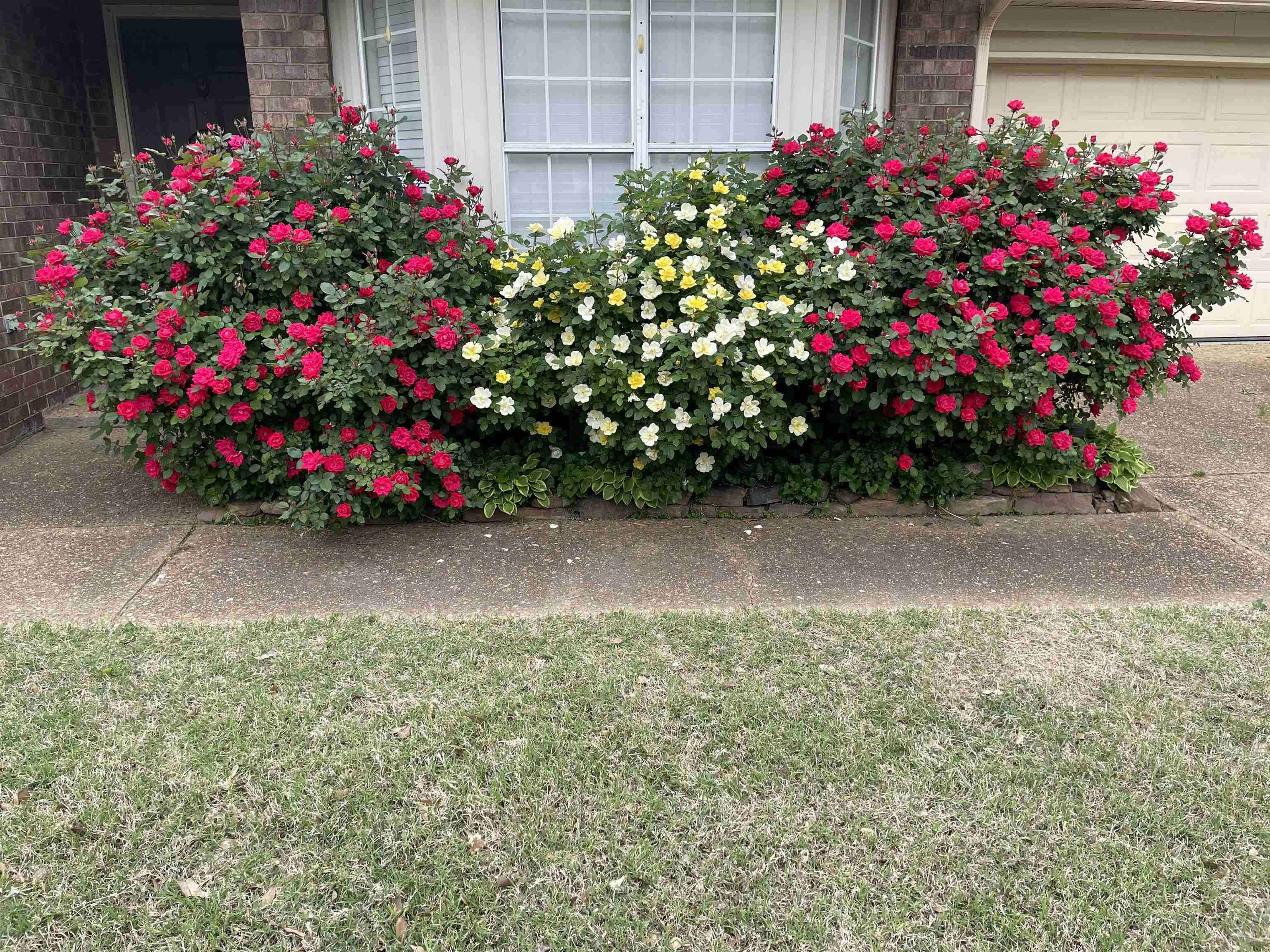 486 Harts Way Drive Collierville, TN 38017 - Photo 29 of 39 a view of a flower in a front of a house