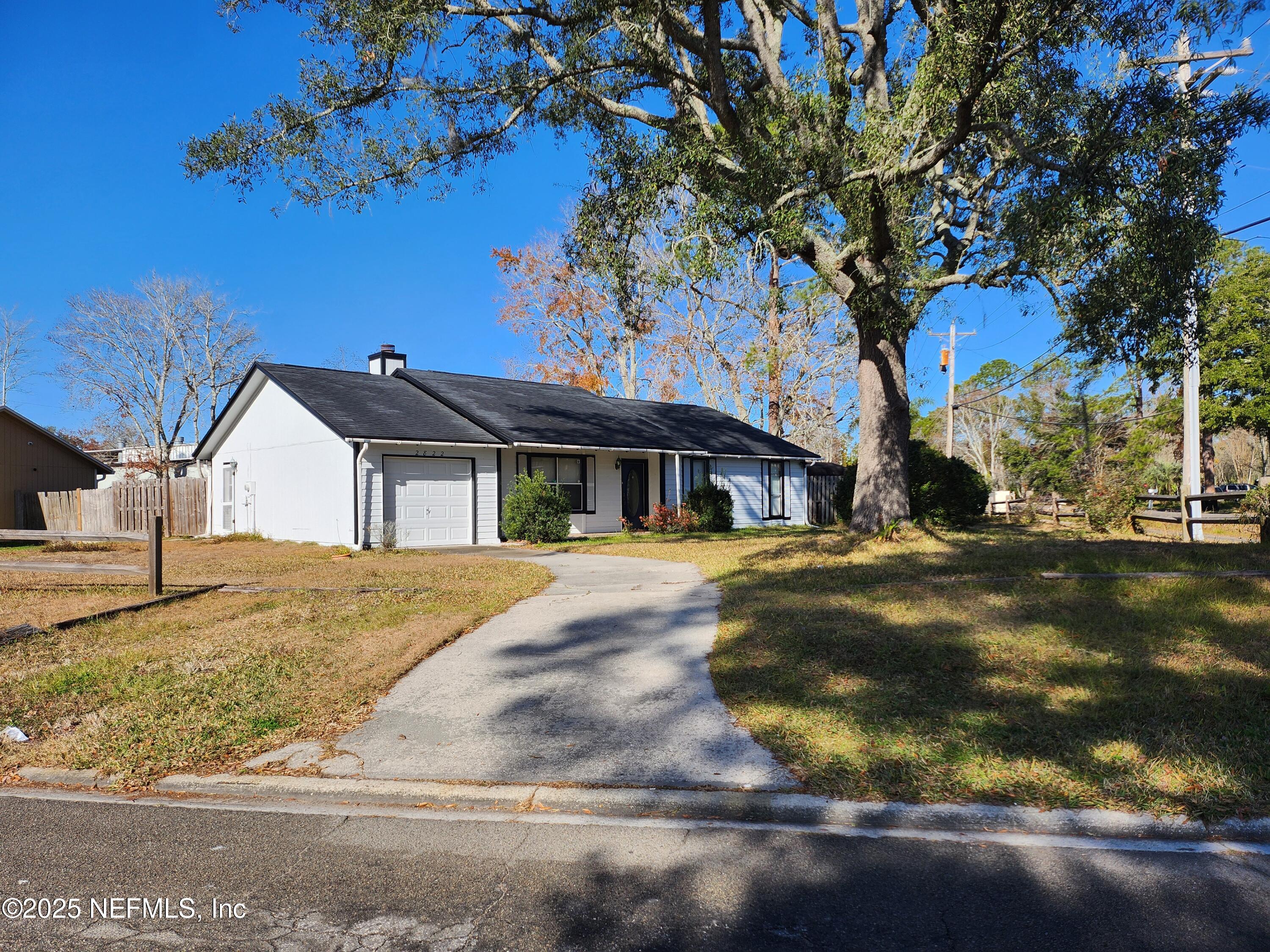 2822 Homestead Road Orange Park, FL 32065 - Photo 3 of 19 3 - Yard