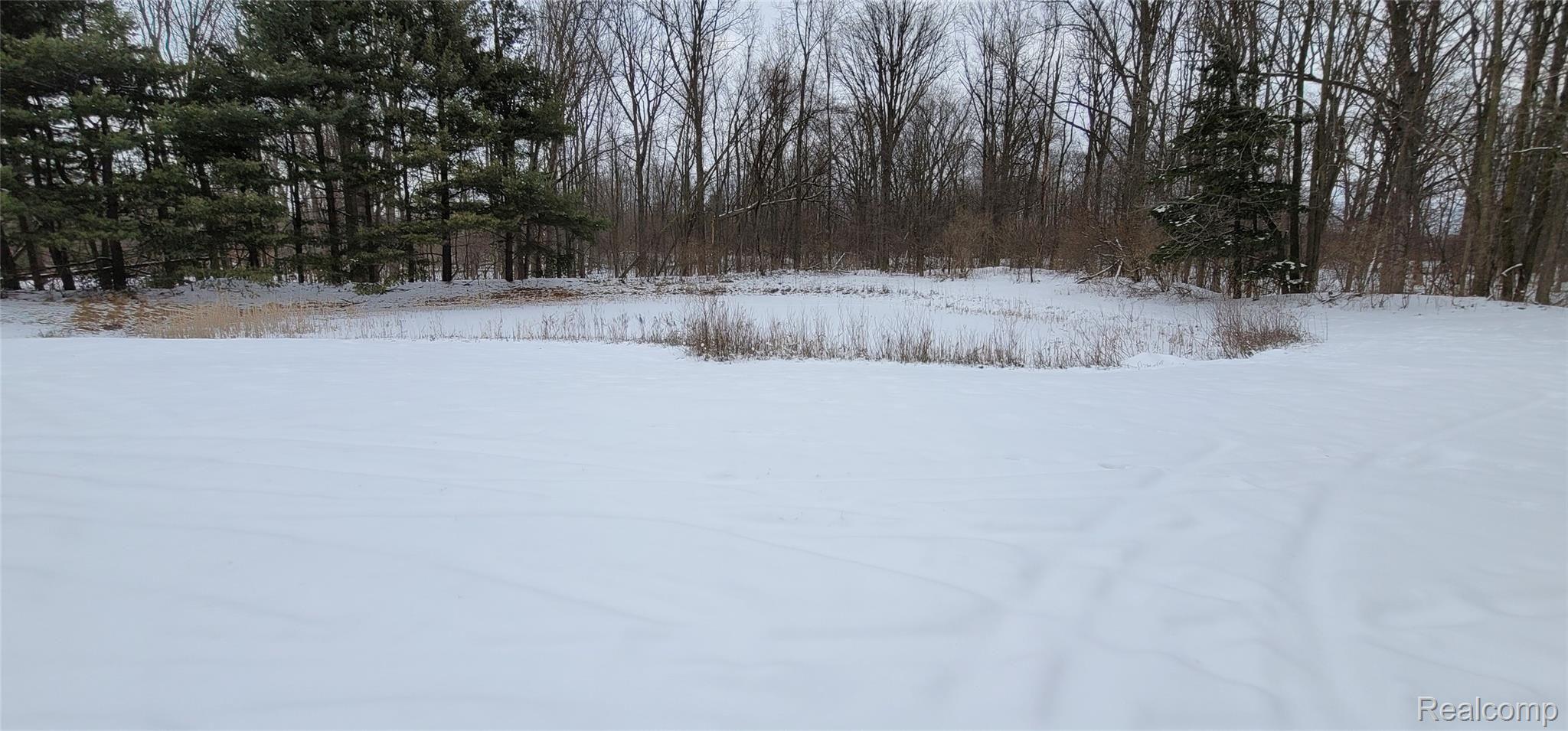 10165 South Bray Road Clio, MI 48420 - Photo 40 of 54 20210128_160206.jpg