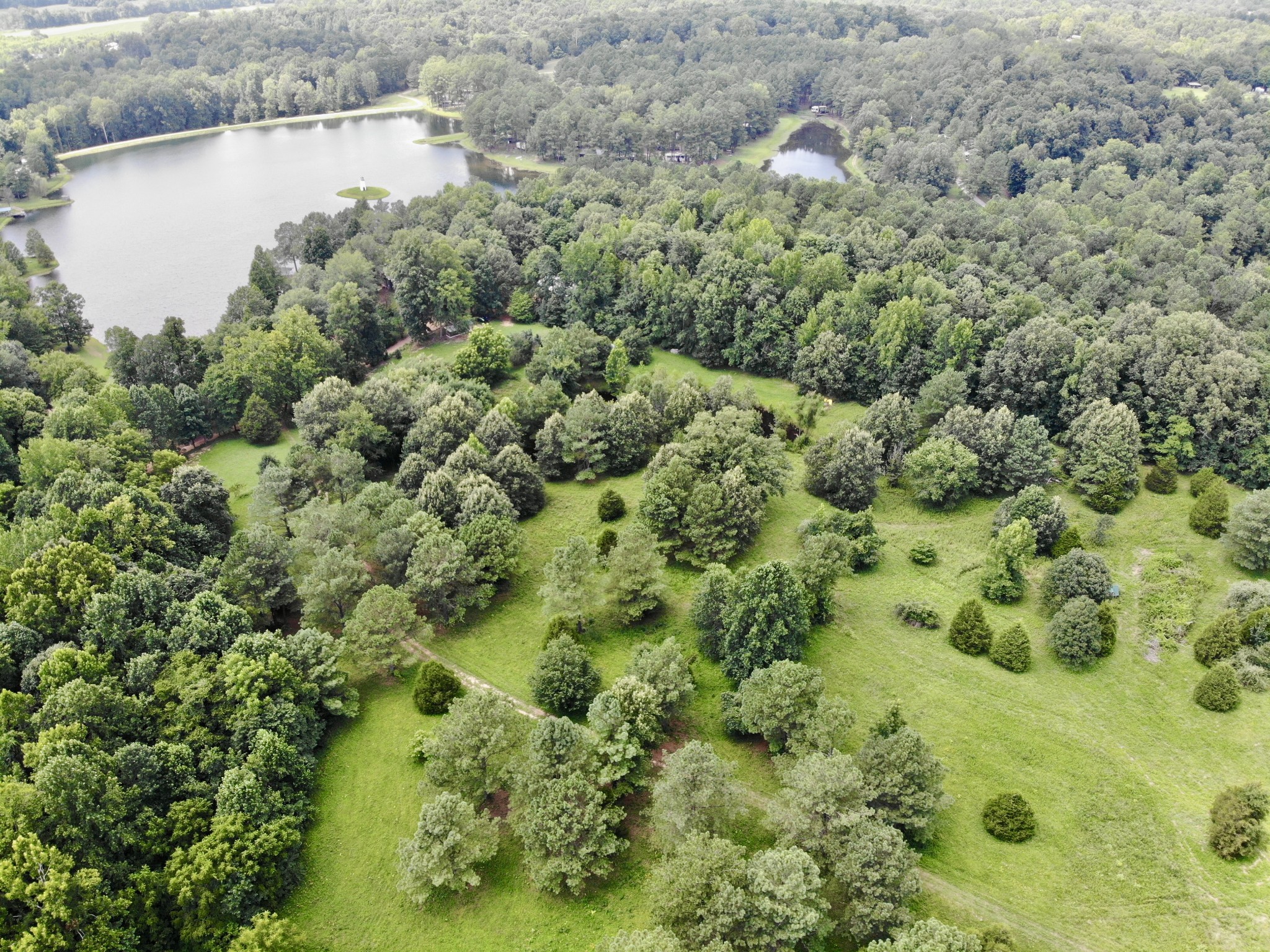 0 Harps Hill Road Graham, KY 42344 - Photo 8 of 9
