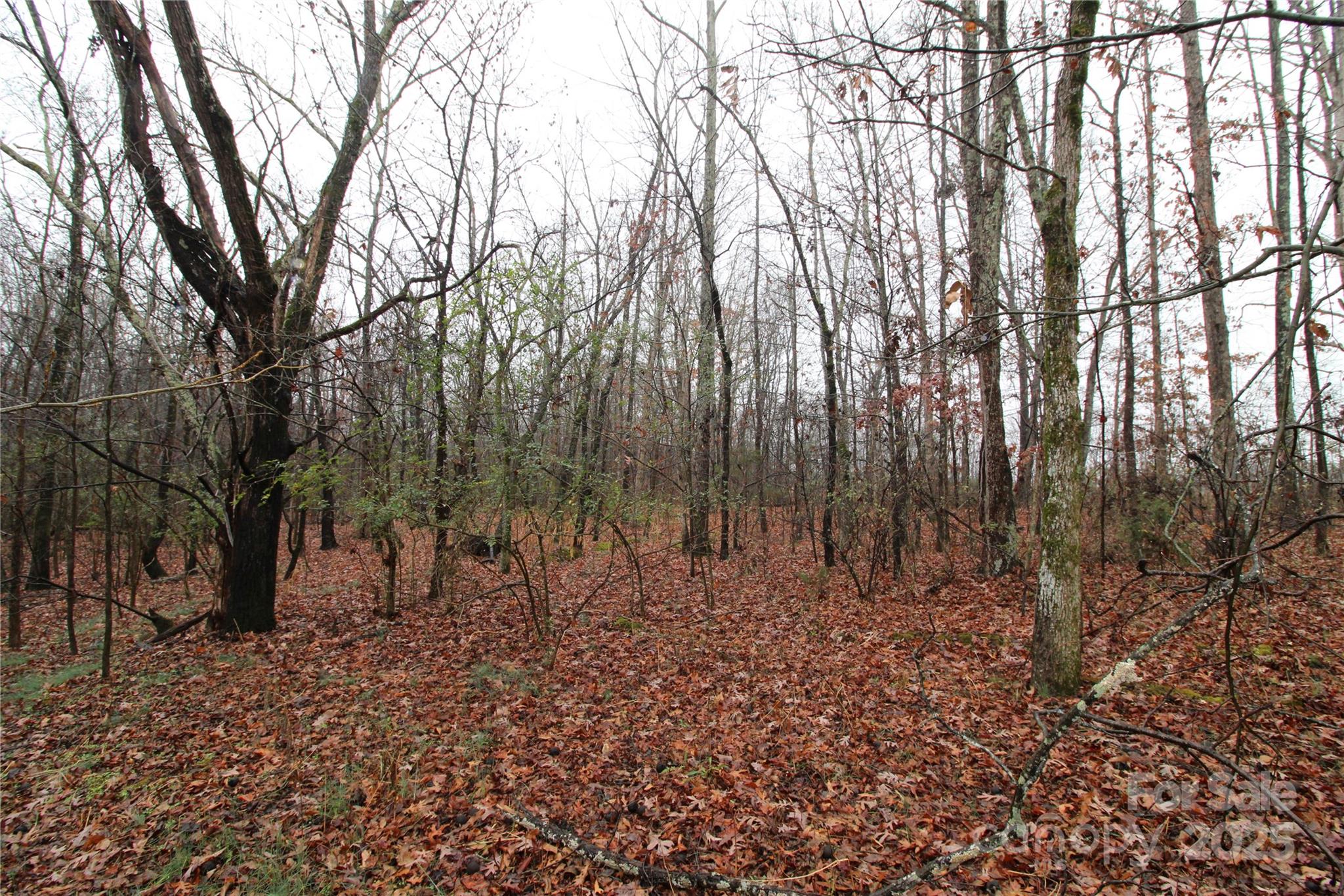 8.94-ac Bess Road, Unit LOT L Bessemer City, NC 28016 - Photo 3 of 4