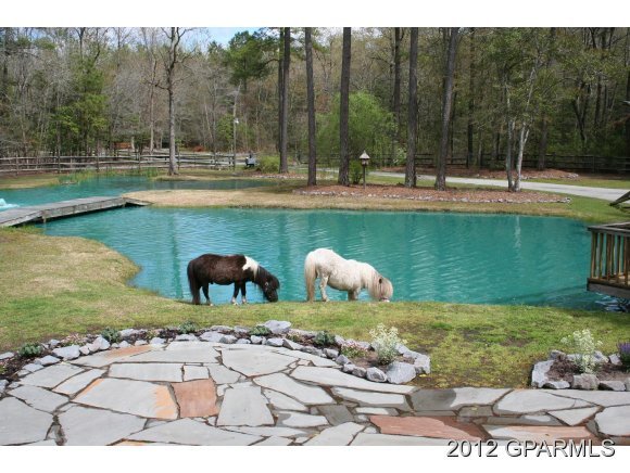 2263 Pocosin Road Ayden, NC 28513 - Photo 4 of 13 Additional Photo