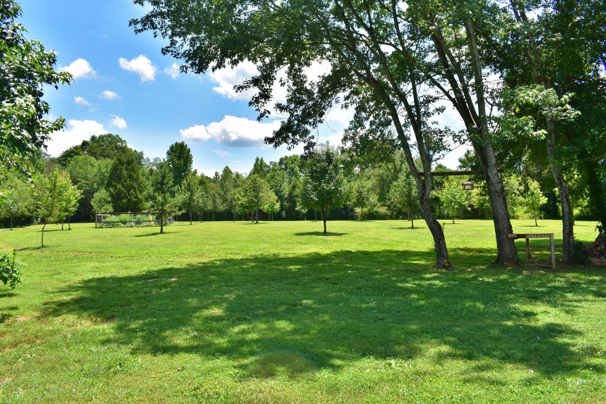 5858 Wolf Creek Road Spring City, TN 37381 - Photo 30 of 76